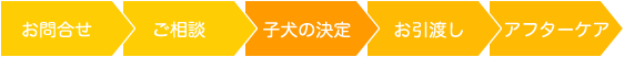 子犬の決定